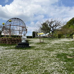 22-05-02 14-01-17 0729